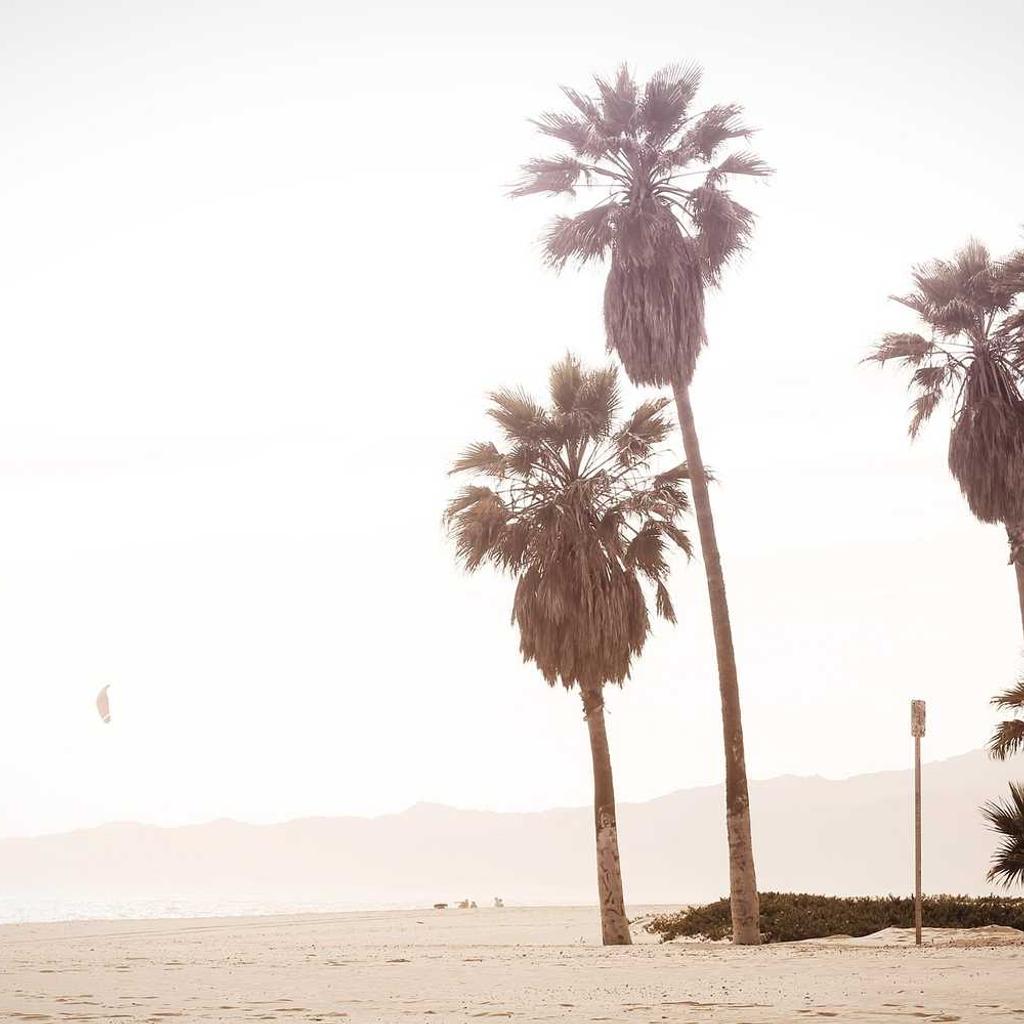 [Descripción de la imagen del producto]